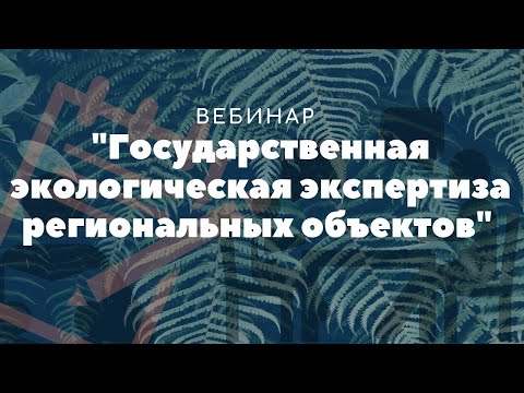 Организация и проведение государственной экологической экспертизы (региональная)