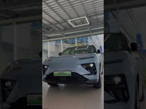 NEW Chery EQ7