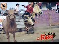 !!Los Furiosos de Rancho La Furia de Mario Garcia¡¡ Jaripeo estilo Michoacan en Santa Rosa CA