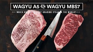 Japanese WAGYU A5 VS AUSTRALIAN Wagyu MBS 7  World's Best Steaks Battle!