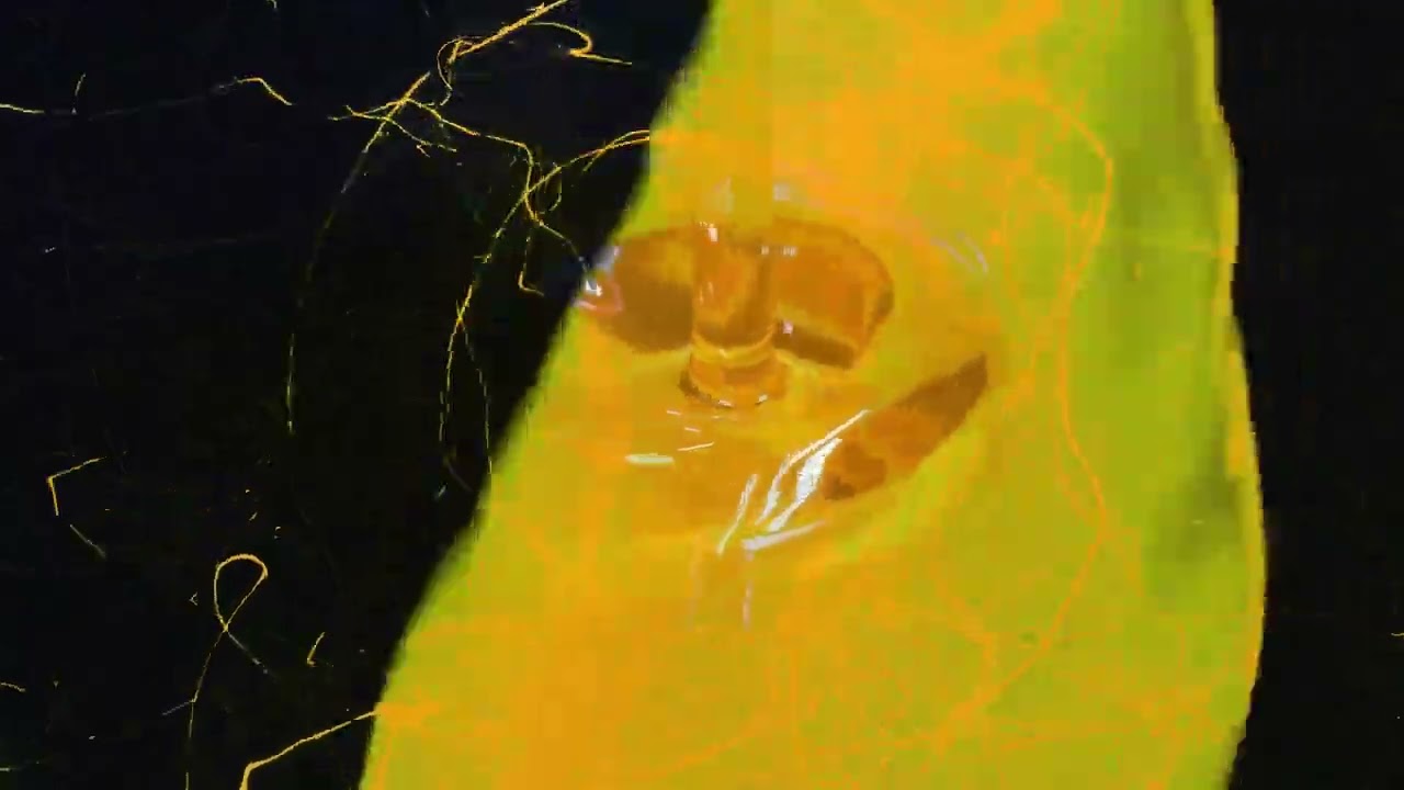 Tom_ Videoart_ Browns Heads Project