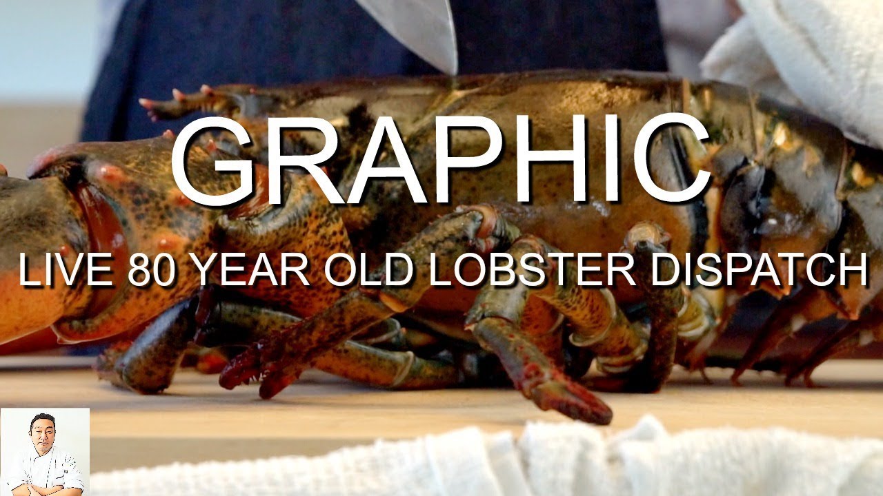 GRAPHIC: LIVE 80 Year Old Lobster Dispatch (Slow Mo) | Cook and Sushi | Hiroyuki Terada - Diaries of a Master Sushi Chef