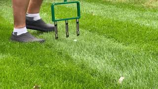 AERATE YOUR LAWN THE RIGHT WAY! The Landzie Fork Aerator - too FORKIN' good!!! screenshot 3