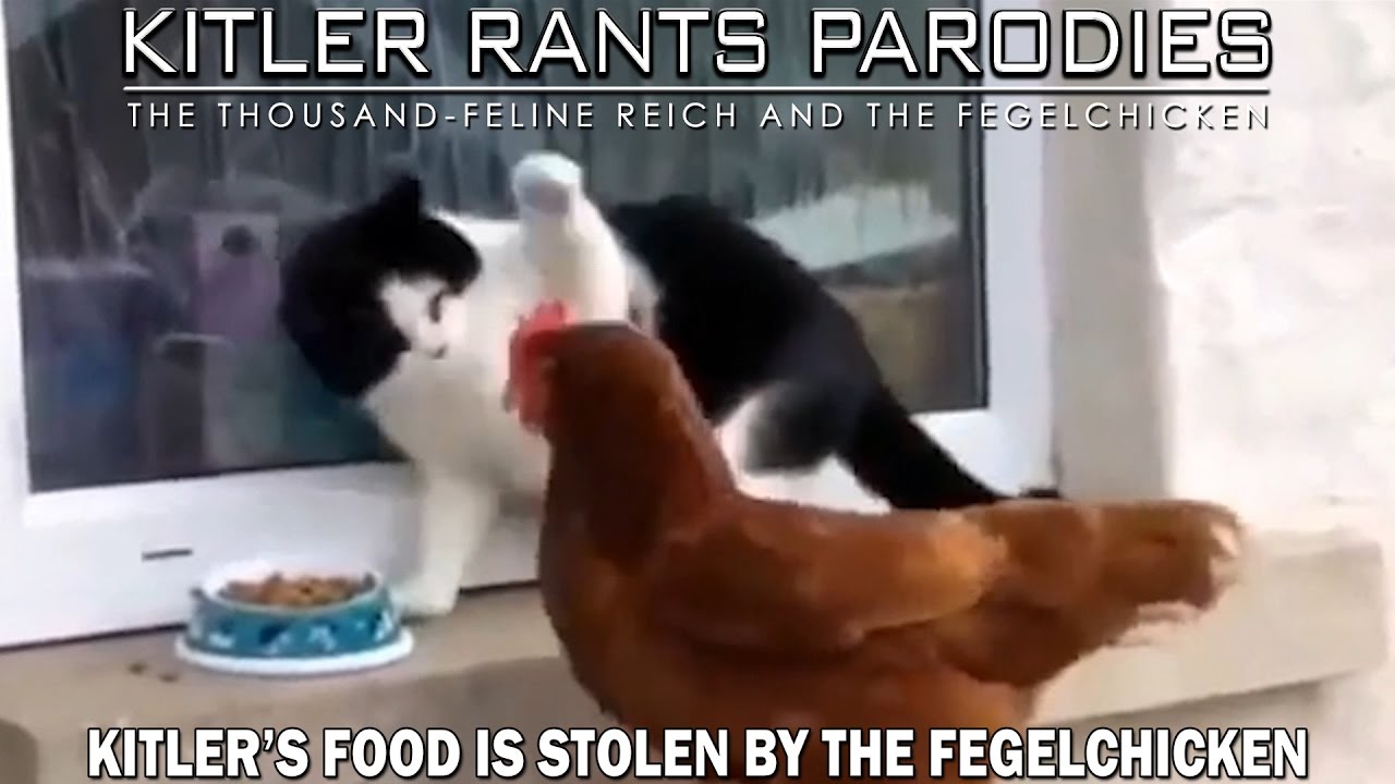 Kitler's food is stolen by the Fegelchicken