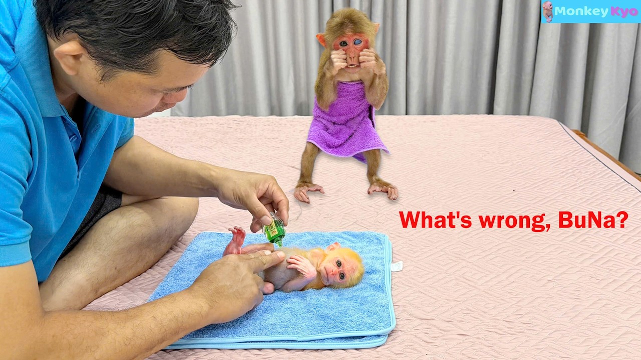 BuNa had a stomach ache… But Kyo’s plan was hilarious! 🤣