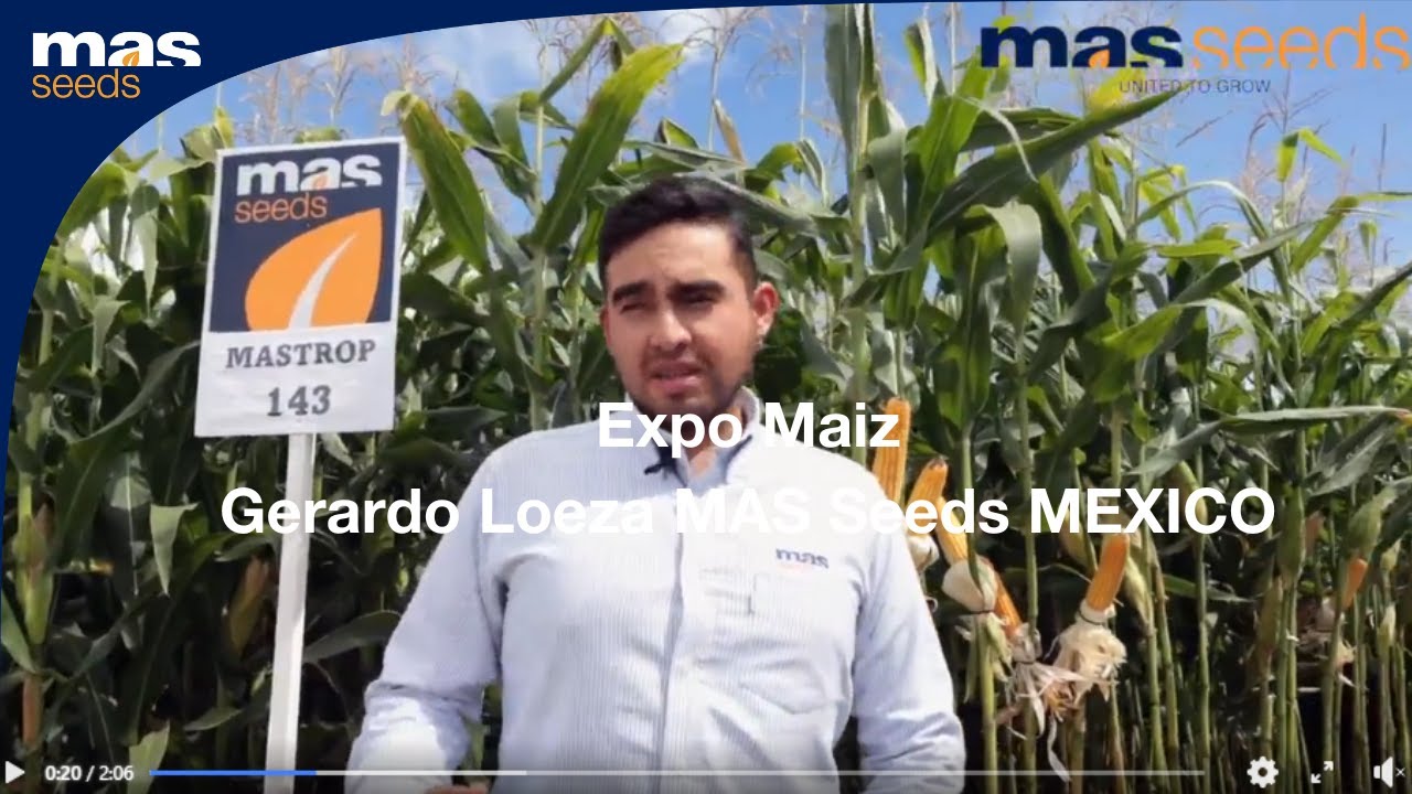 2022 MEX EXPO AGUASCALIENTES MAS SEEDS YouTube 2022 MEX EXPO AGUASCALIENTES MAS SEEDS YouTube