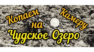 XP ORX!!! Копаем все сигналы на камеру, только честный коп.