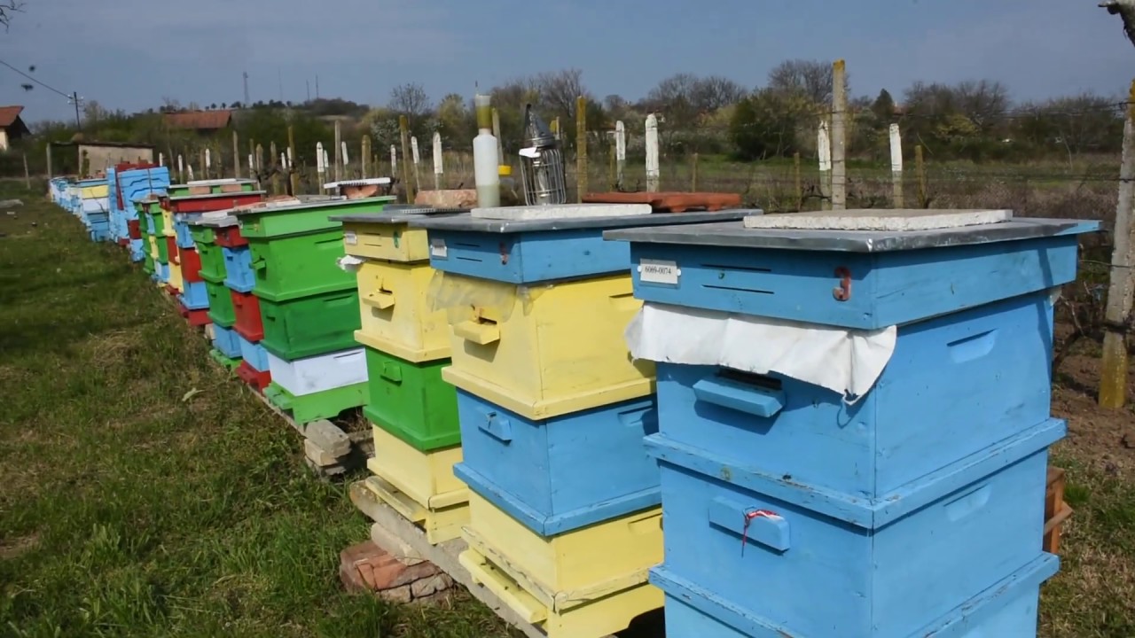 Пролетно Ротиране на корпуси- ЛР система 12.04.2020, с. Арнаутито, обл. Стара Загора