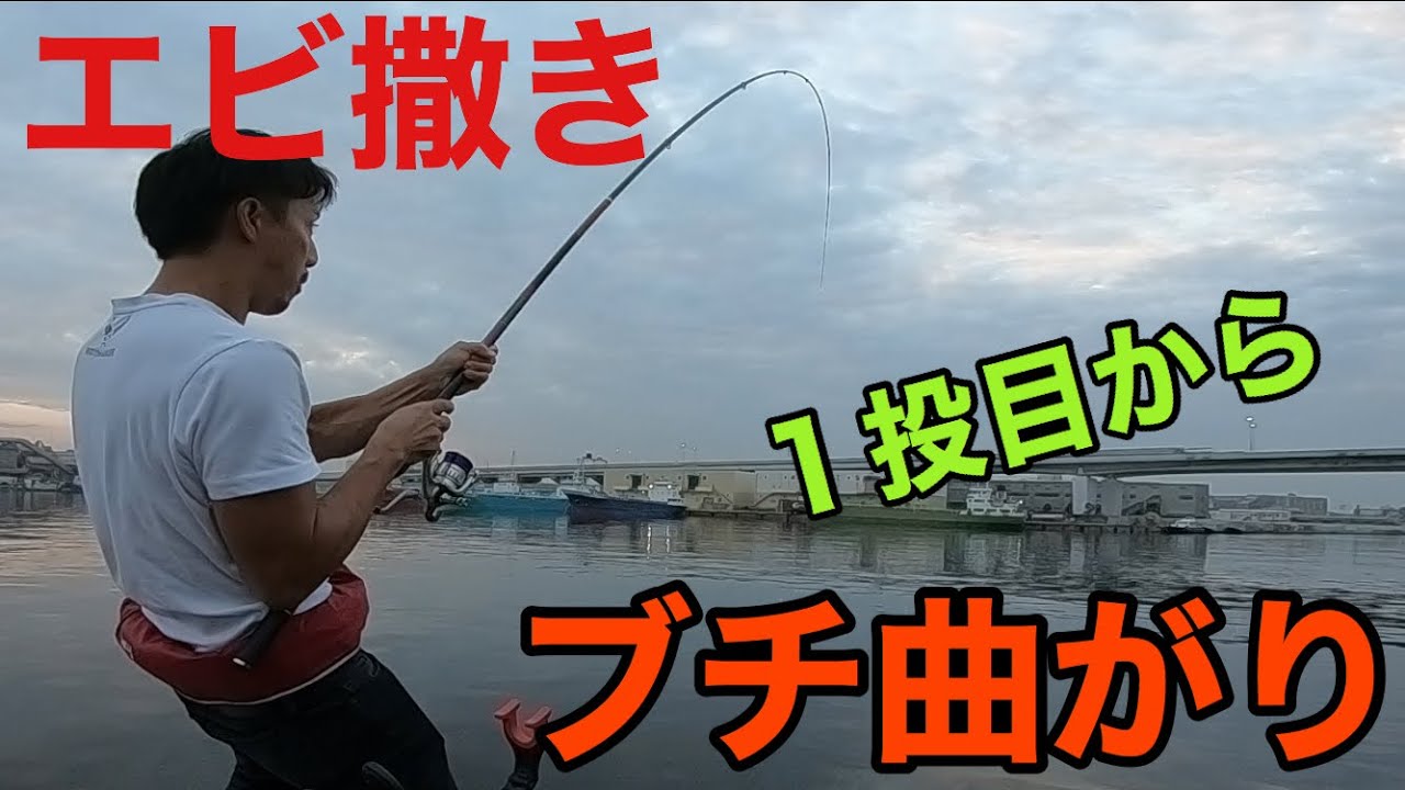 エビ撒き釣り真夏のチヌ ハネ 熱中症に注意 Youtube