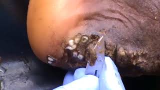 Rael Dorof Township Jigger Digging (2 of 4)