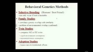 Studying the Effects of Genes on Behaviour