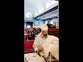 Live Streaming Of Frandrewphilip 