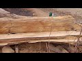 Slicing big logs into thick boards in the center of the paddy field............