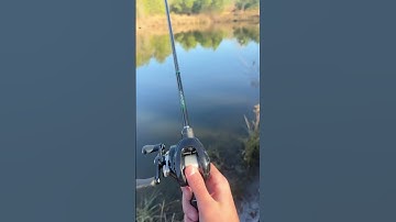 2024  metanium dc whine