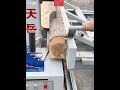 # Timber Processing Plant # Timber Worker # Timber # Pine Wood # Round Log Panel Saw