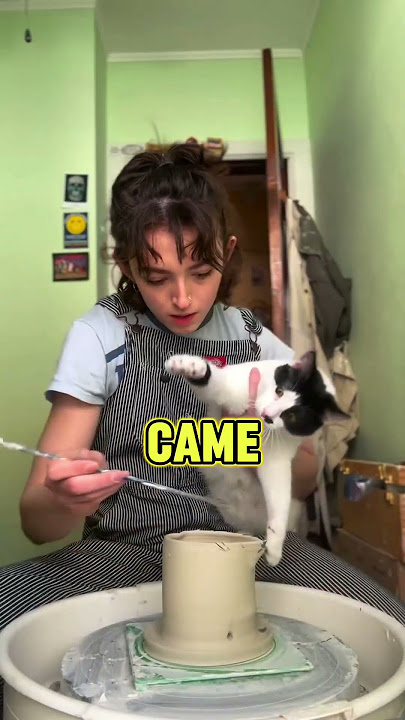 From mess to masterpiece..❤️‍🩹😼