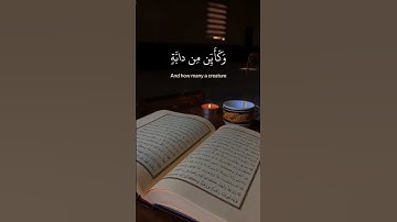 تلاوة خاشعة تريح القلب بصوت جميل جدا | الذين صبروا وعلى ربهم يتوكلون #ستوريات #قرآن #قران_كريم