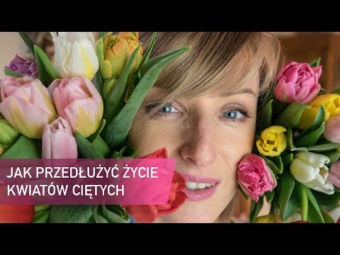Wideo: Jak Przedłużyć żywotność Kwiatów Ciętych