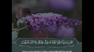 تلاوة مباركة من سورة الاعراف بصوت القارئ رعد الكردي