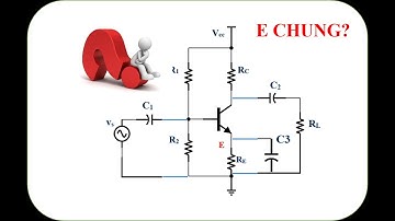 B chung, C chung, E chung hoạt động như thế nào?