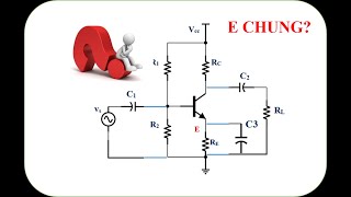 How Do B Common, C Common, E Common Work?