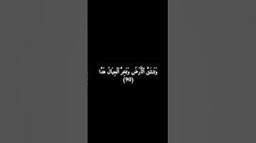 سورة مريم 88 - 93 - علي جابر .