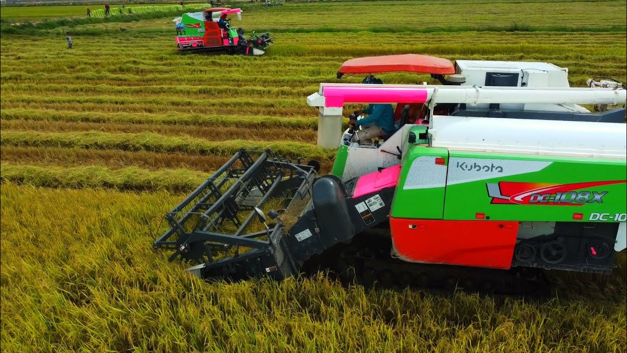 Combine Harvester Kubota DC 108x Harvesting Rice   Greet Work Safety Operator  Agricultural Machiner