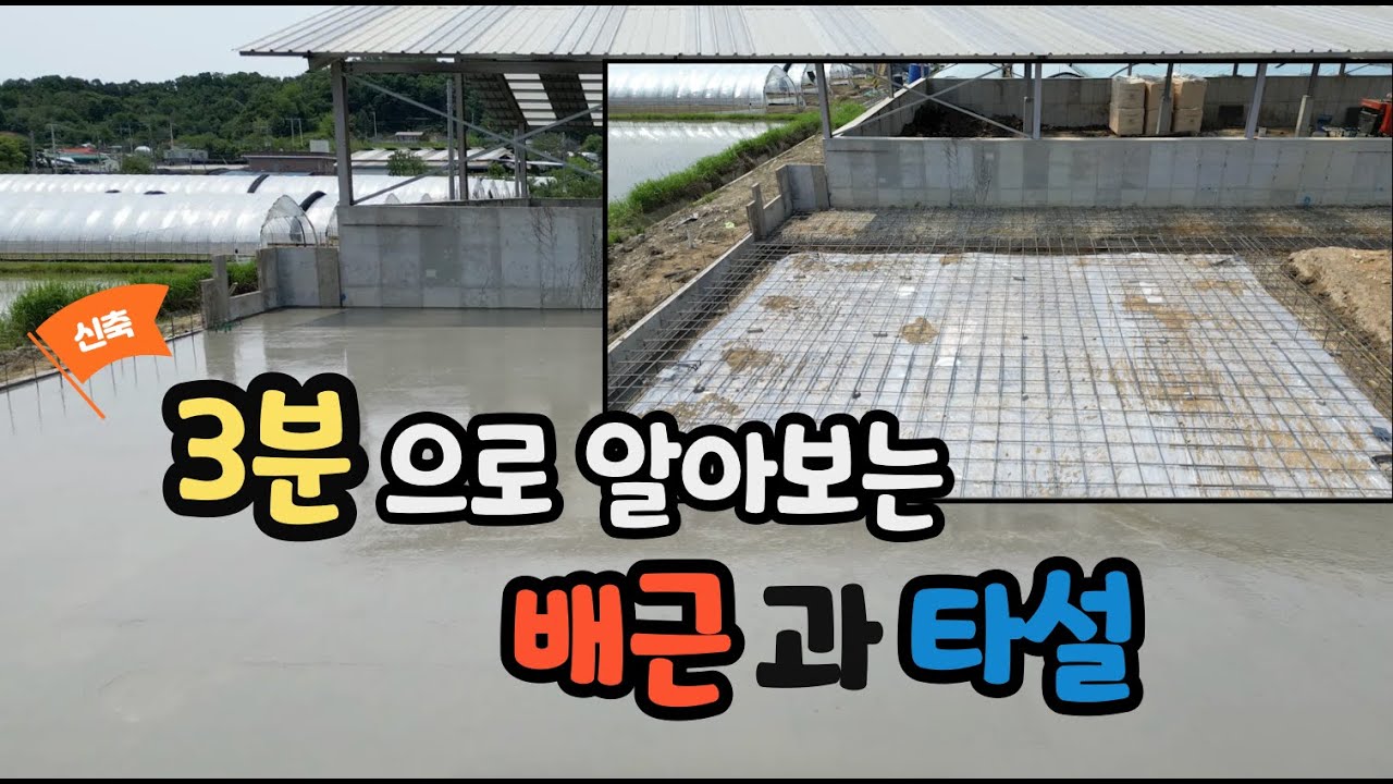 [축사TV-230-2편] 3분으로 알아보는 축사 배근과 타설 l 신축 축사 시공 과정 l 청년창업지원자금 - YouTube