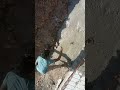 thekedar site per nahin hota meri labour ka kam