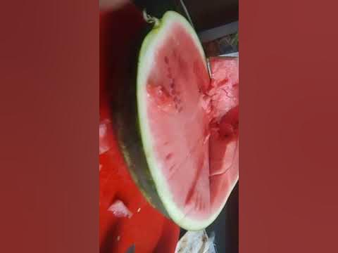 арбузик с сюрпризом - YouTube