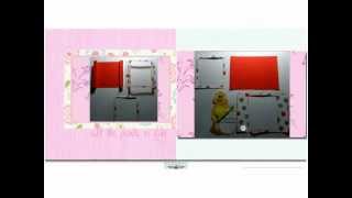 BAP Shadow Box Card Video.avi