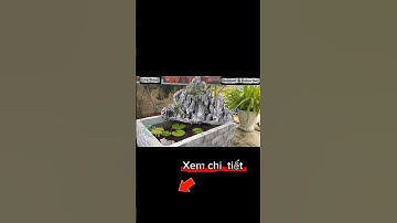 DIY Miniature Landscape with Foam and Cement | tiểu cảnh đẹp #shorts #tieucanh #nonbo #miniature