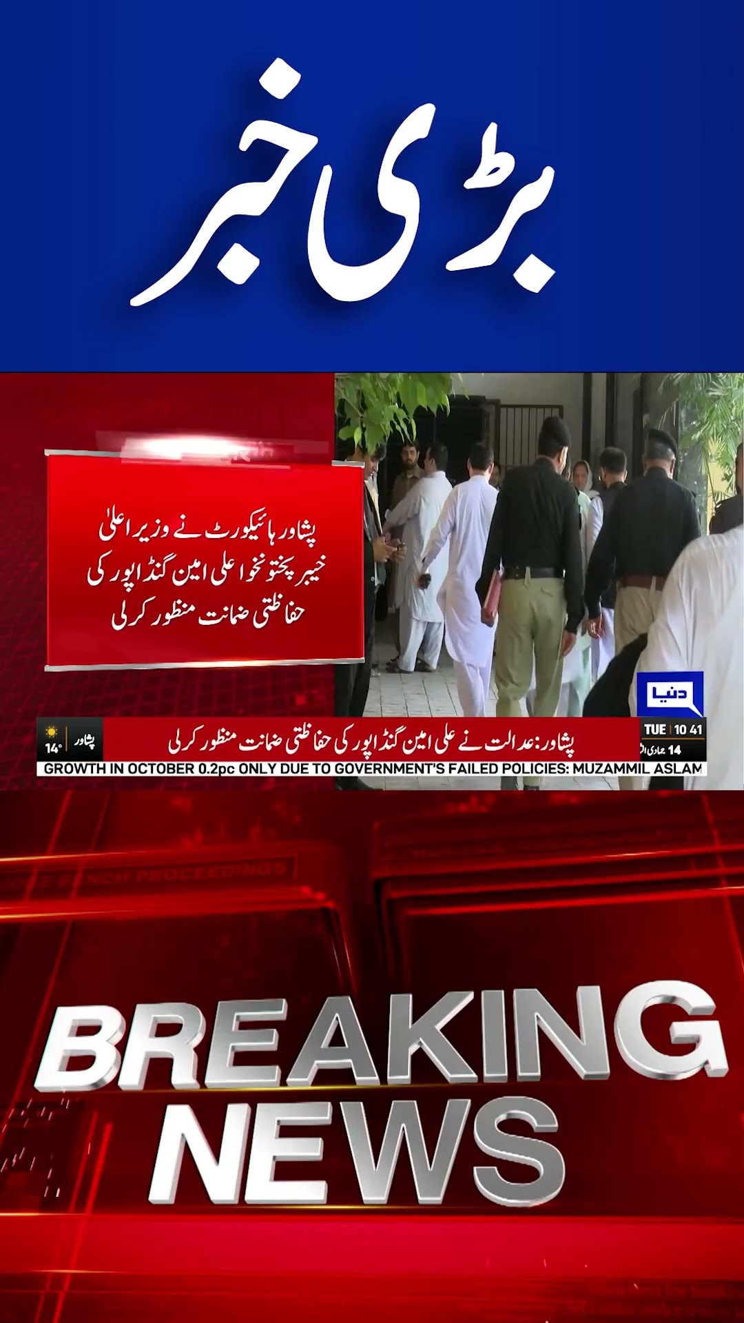 Ali Amin Gandapur Granted Protective Bail : Latest Legal Update | PTI | Dunya News #shortsnews