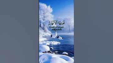 {إن الله يدخل الذين آمنوا وعملوا الصالحات جنات تجري من تحتها الأنهار }🫵🤝🇲🇦تلاوة ياسر الدوسري