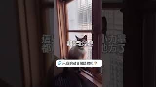 三妍良語 × 美門生活【藏書閣放鬆聽】 #podcast #療癒 #藏書閣放鬆聽