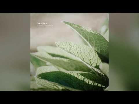Liam Thomas - Nebula (Teaser)