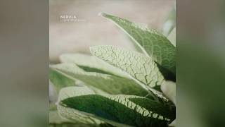Information Liam Thomas - Nebula (Teaser) Guide