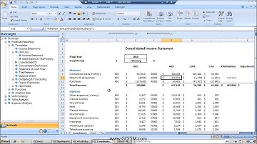Business Reporting & Analytics for Sage ERP with Biznet : Lunch-N-Learn
