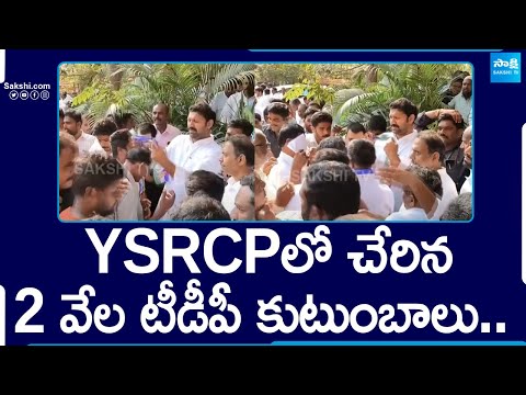 2 Thousand TDP Families Joins YSRCP In Pulivendula | AP Elections 2024 | @SakshiTV - SAKSHITV