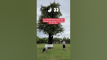 Khi bạn đọc xong dòng Pov này thì tâm trí bạn bắt đầu thắc mắc và chuẩn bị skip qua… #tỉnhthức