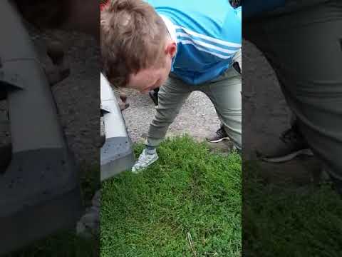 В Кузбассе задержан закладчик из Красноярска с 15 килограммами наркотиков