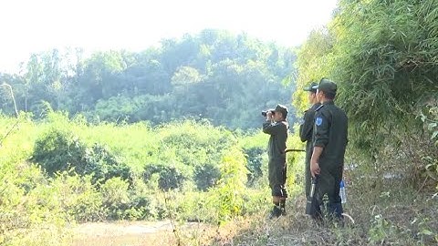 Tết của những người giữ rừng