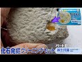 【古生物玩具】化石発掘クリーニングセット パートⅢ 新生代篇(東京サイエンス)