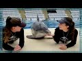 Dolphin kisses girls-Дельфин целует девушек