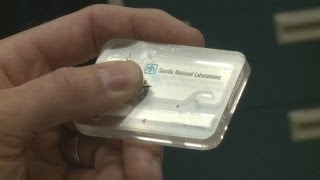 Sandia Labs works on terror detectors