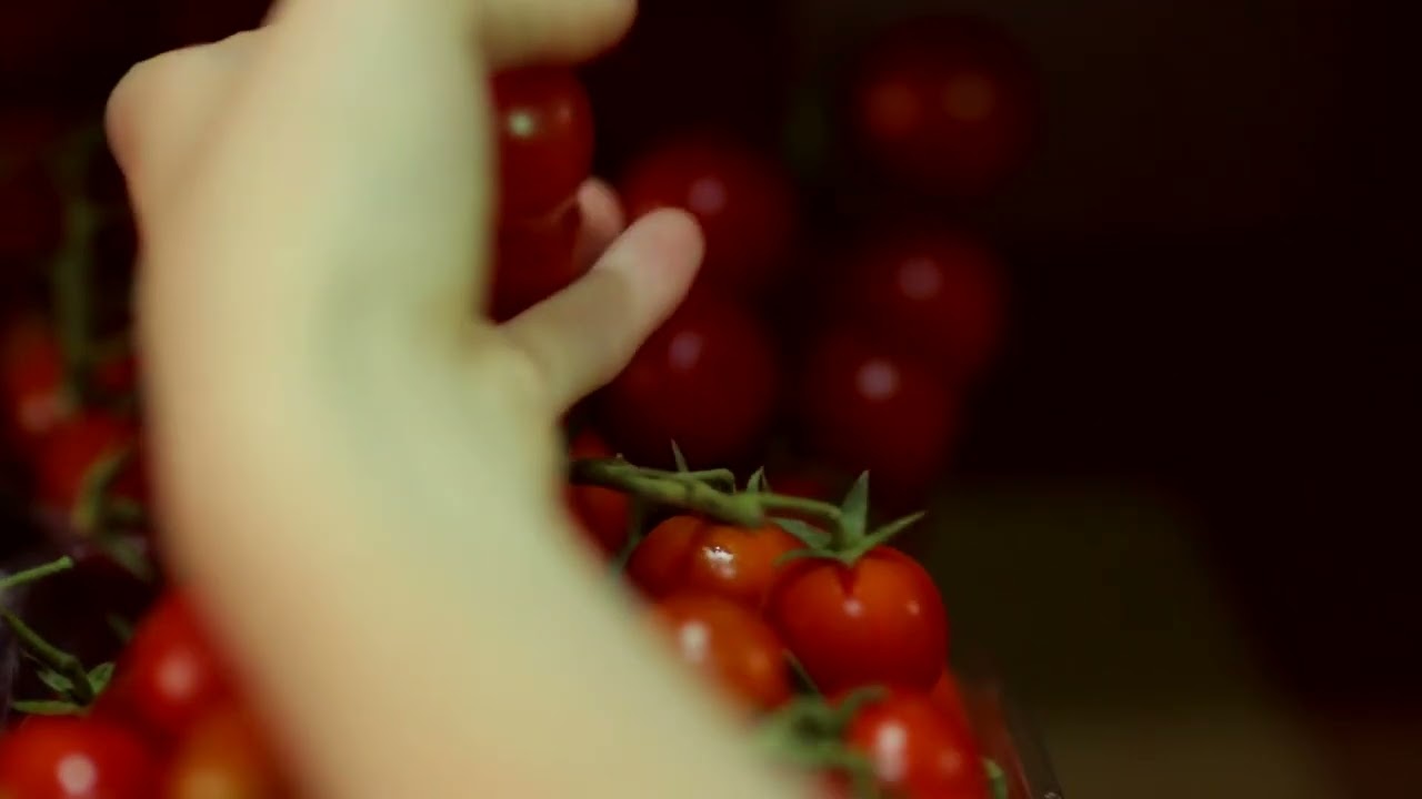 Tomato Plant Care Basics