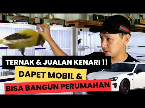 Video: Apakah kenari dalam komputer?