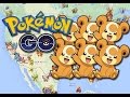 NIDO DE TEDDIURSA SALE CADA 2 MINUTOS CAPTURALOS YA POKEMON GO
