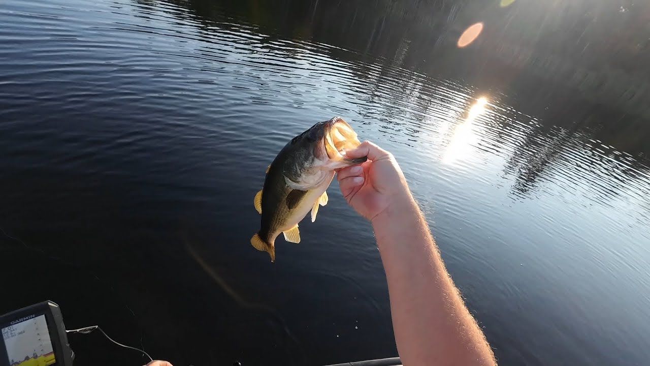 Quick bass fishing trip