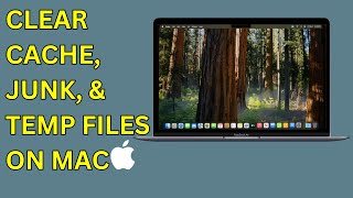 How To Clear Cache, Junk, & Temp Files on Mac (Step-by-Step Guide)